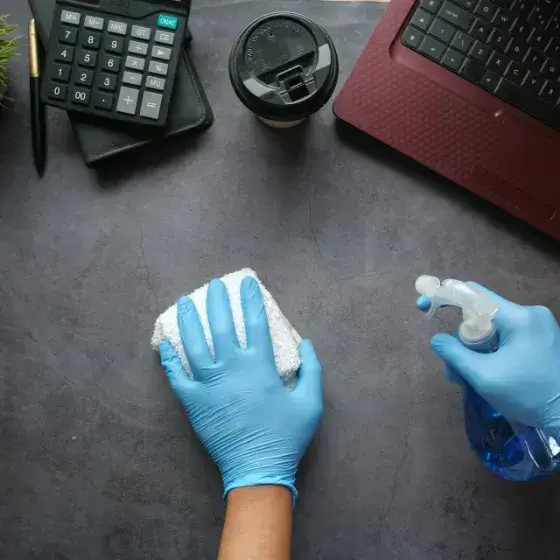 Cleaning Service 2