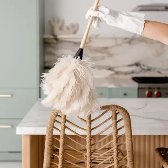 Cleaning Service 1