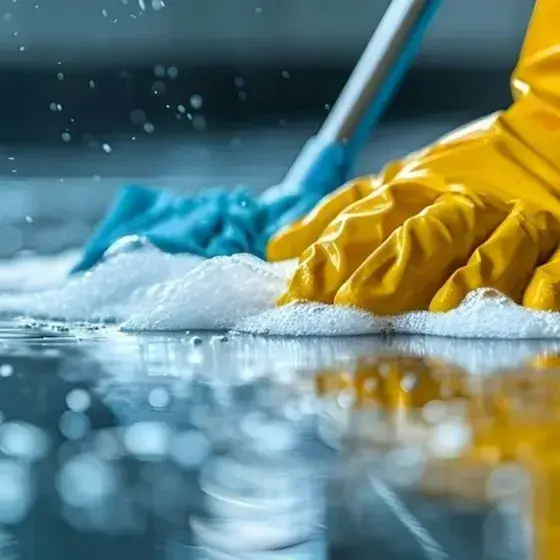 Cleaning Service 3